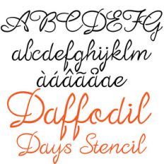 zp daffodil days stencil