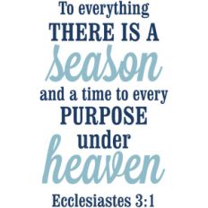 season and purpose under heaven