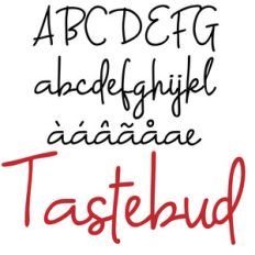 pn tastebud