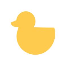 rubber duckie
