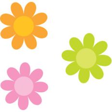 flowers - sweet summer