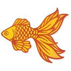 goldfish