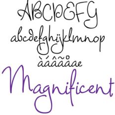 pn magnificent