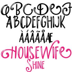 pn housewife shine