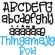 pn thingamajig bold