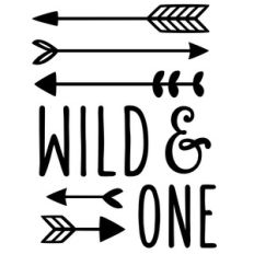 wild and one phrase