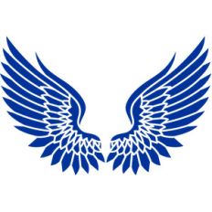 angel wings