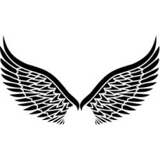 angel wings