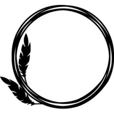 feathers circle frame