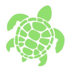 sea turtle
