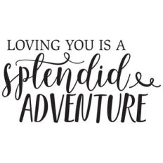 loving you is a splendid adventure quote