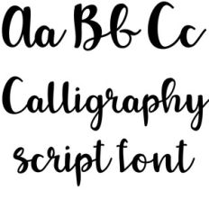calligraphy script font