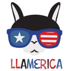 schmoopsie poo - llamerica