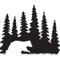 bear forest