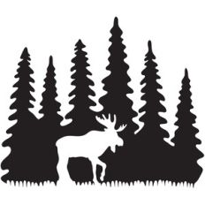 moose forest