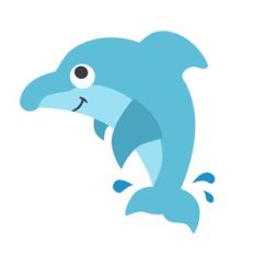 cute dolphin