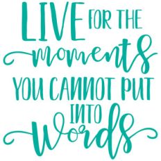 live for the moments you cannot put into words