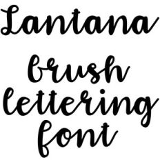 lantana brush lettering font