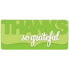thanks-so grateful card kit