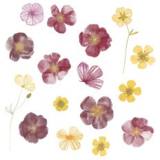 pressed flowers watercolor stickers