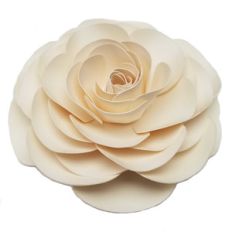 mini ranunculus 3d