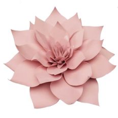 dahlia 3d