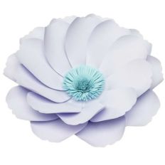 zinnia 3d