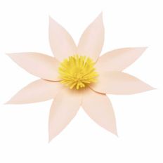 clematis 3d