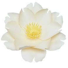 majolica rose 3d