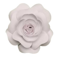 mini blooming rose