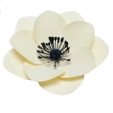 anenome 3d