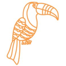 toucan