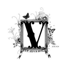framed v monogram