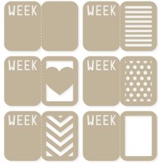 divided 'week' 4x6 life cards