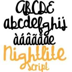 pn nitelight script