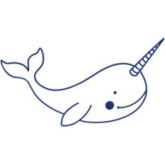 narwhal
