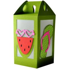 watermelon - flip flop summer lantern