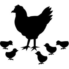 chicken with chicks silhouette