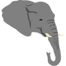 head elephant