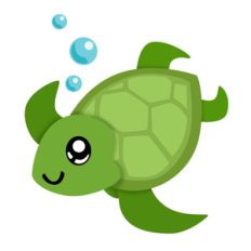 seaturtle
