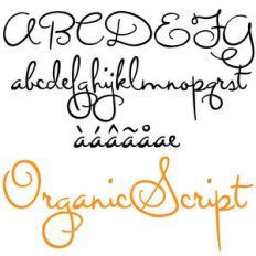 zp organic script