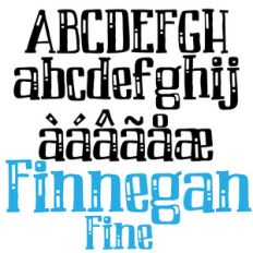 pn finnegan fine