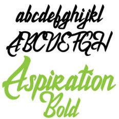 zp aspiration bold