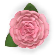 3d flower