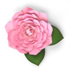 3d flower