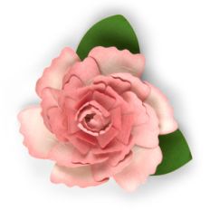 3d flower