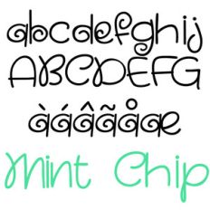 pn mint chip