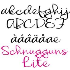zp schnugguns lite