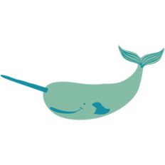 narwhal