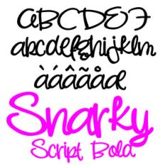 pn snarky script bold